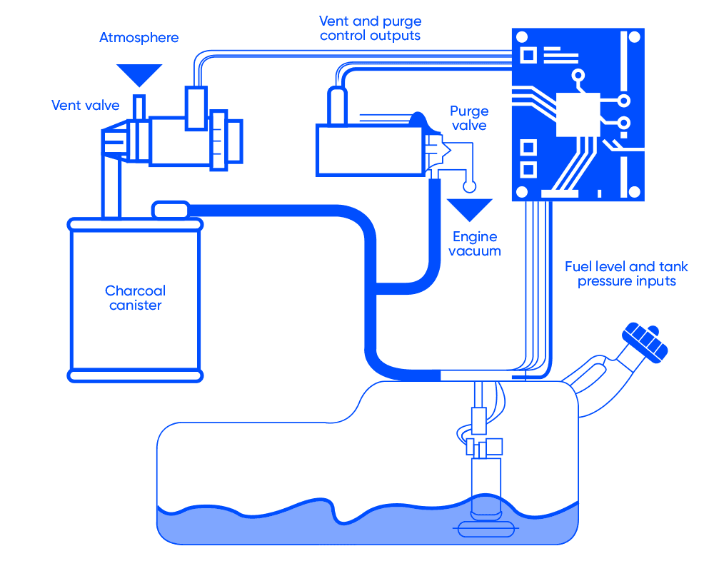 EVAP system scheme