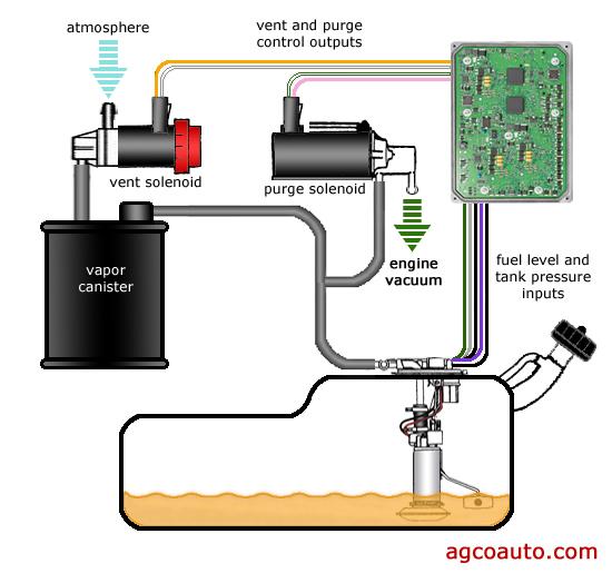 EVAP system scheme