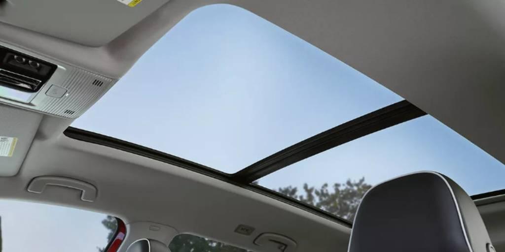 Sunroof with Door Open